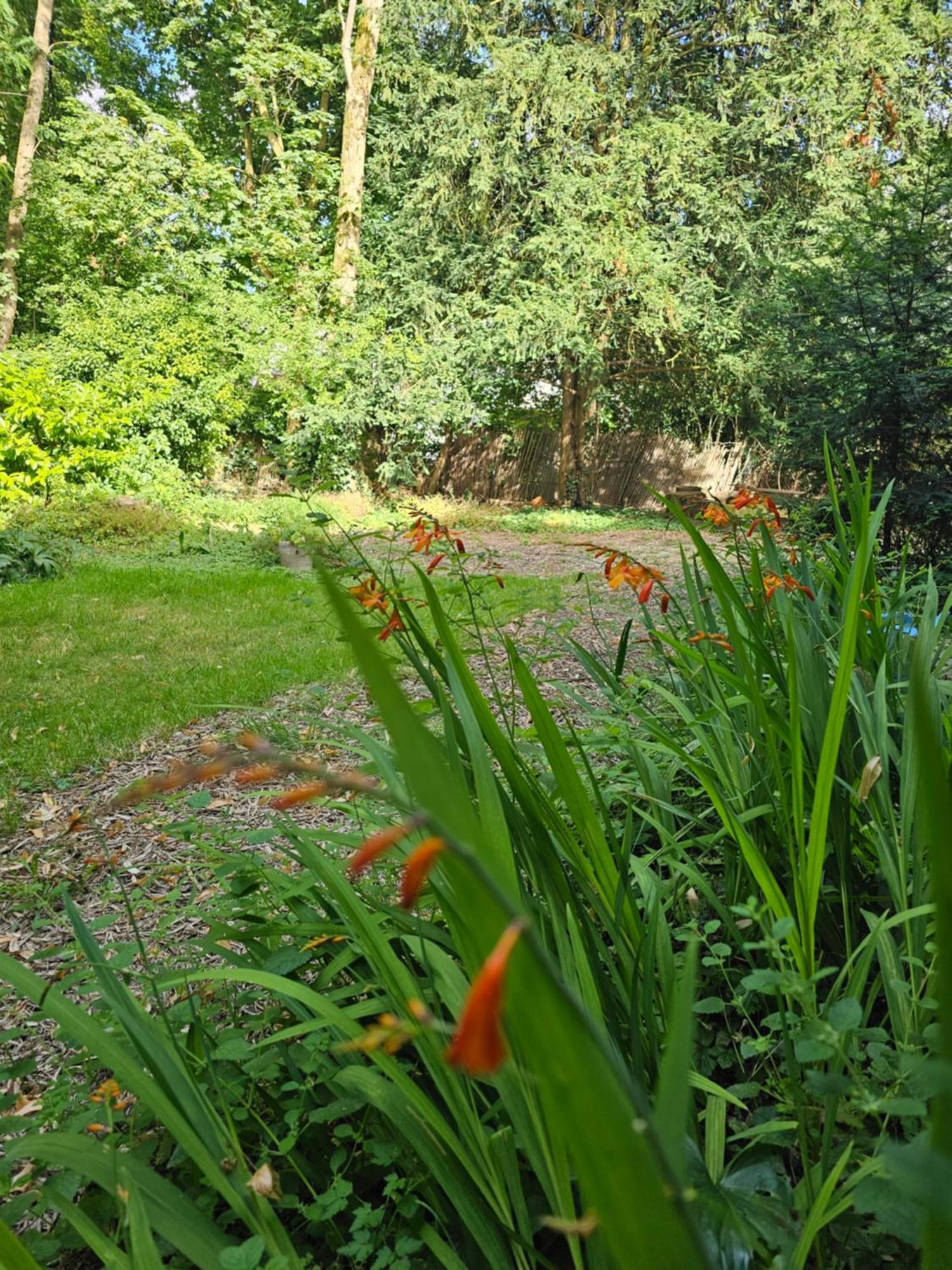 Ferienwohnung L'Ile Des Prevots Crosne Exterior foto